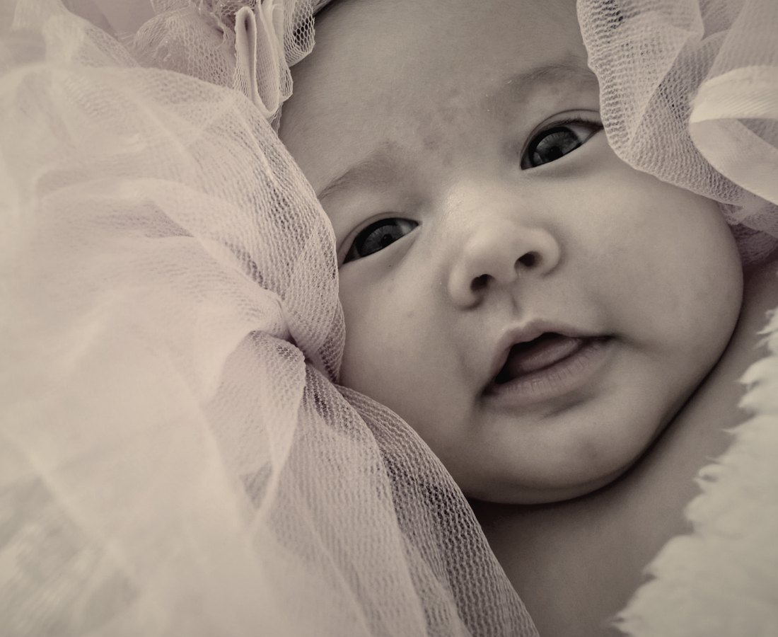 A baby wrapped in soft tulle, looking up at the camera