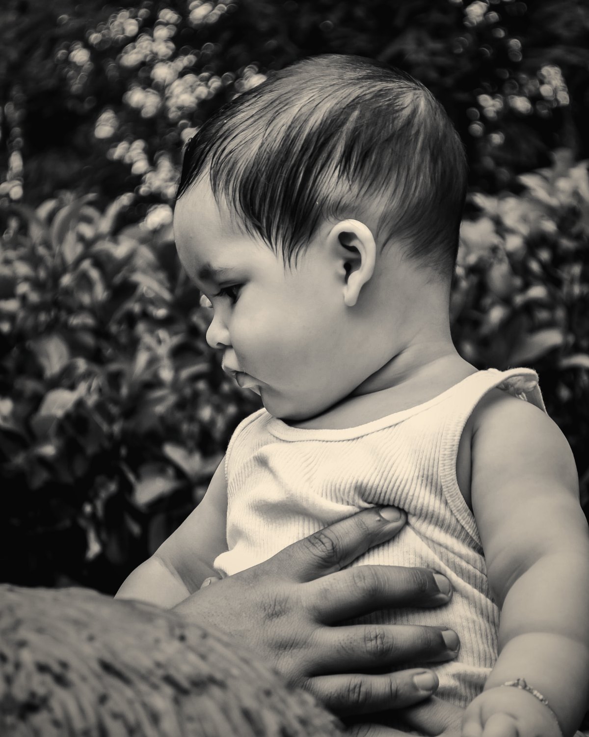 A portrait of a baby held in a parent’s arms outdoors